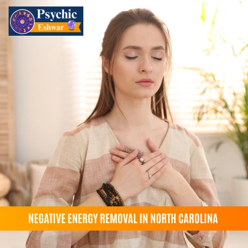 Negative Energy Removal in North Carolina