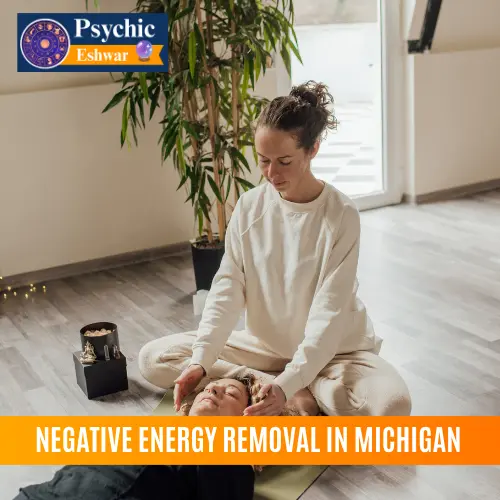 Negative Energy Removal in Michigan